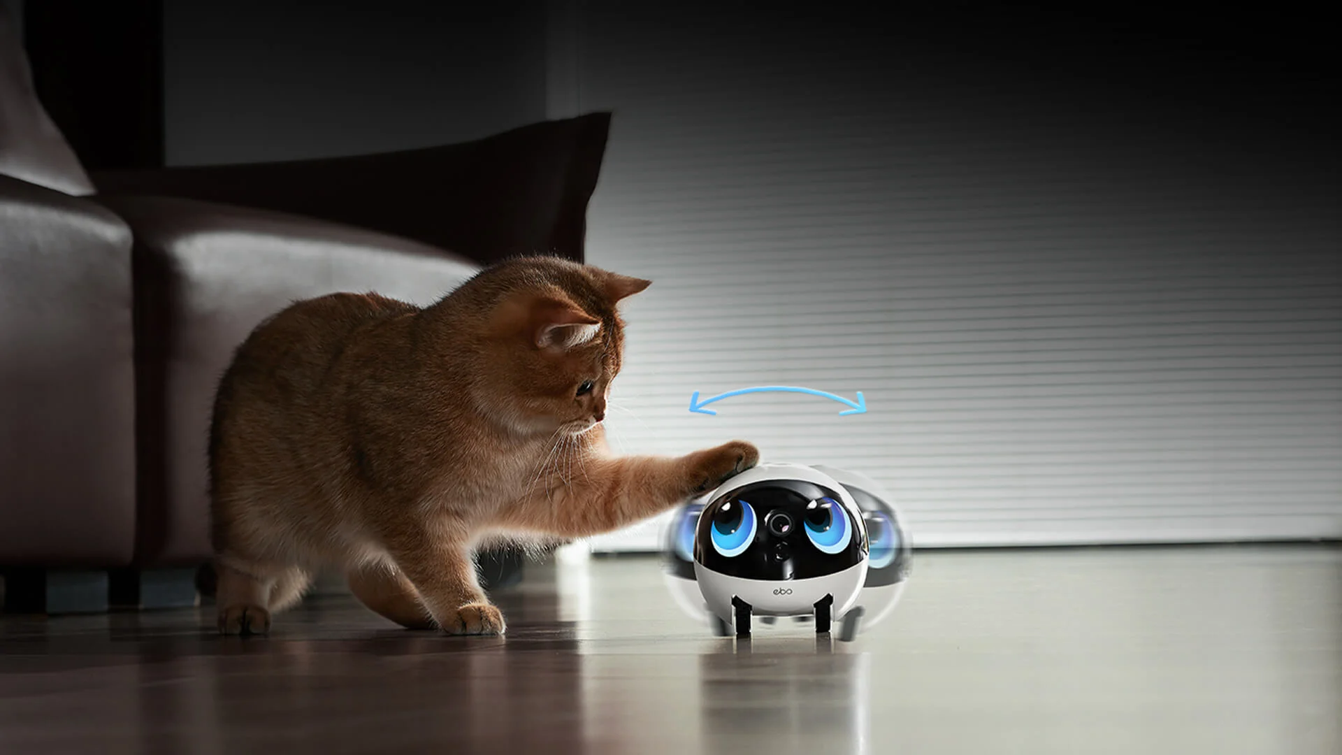 Perfect score for cat owners!